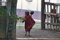 Boy Buddhist Monk in Nyaungshwe, Myanmar