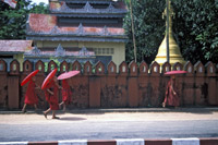 Monk Boys Walking in Pathein, Myanmar
